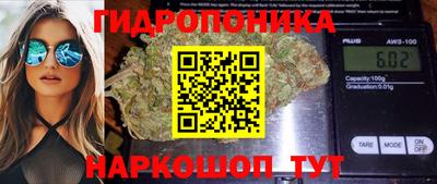 mdpv Дубна