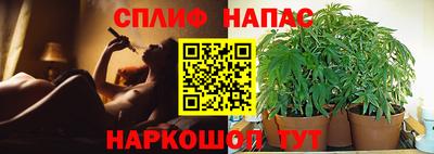 mdpv Дубна