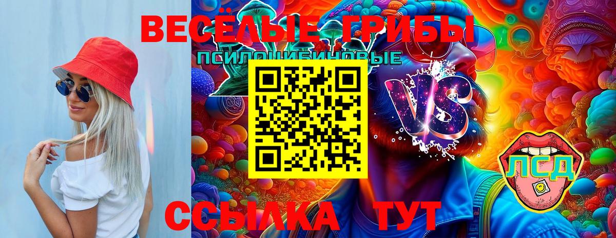 Галлюциногенные грибы Magic Shrooms Люберцы
