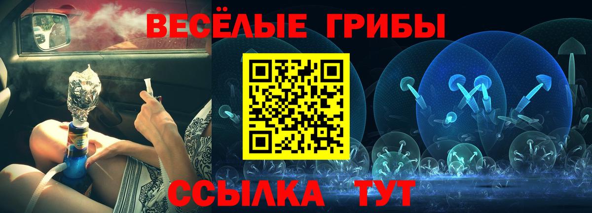 Галлюциногенные грибы Psilocybine cubensis  Вход с VPN  Люберцы 